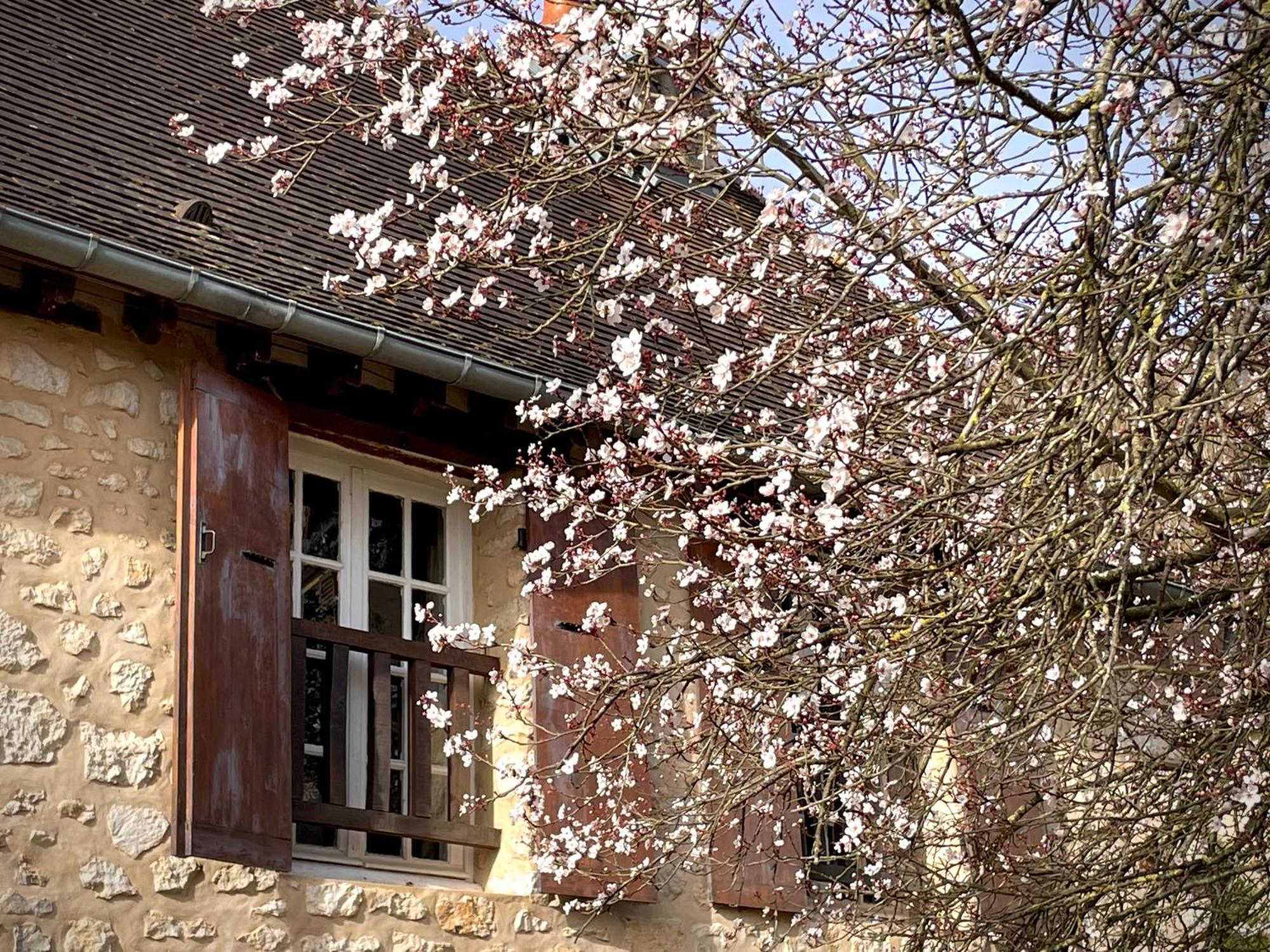 Evergreen Guesthouse Vernon  Exterior foto